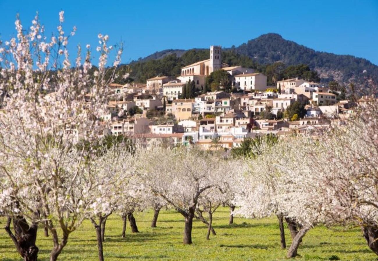 Finca Can Calistro 454 Caimari Εξωτερικό φωτογραφία